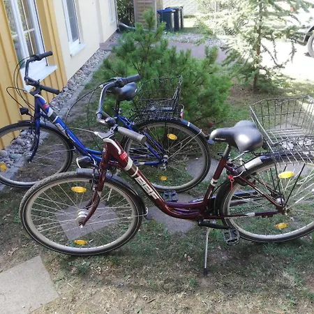 Ferienhaus Kiefernidyll
